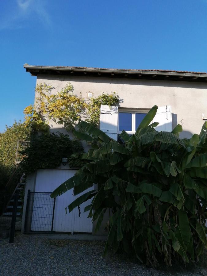 Apartament Le Grenier De Gaston Thouars-sur-Garonne Zewnętrze zdjęcie